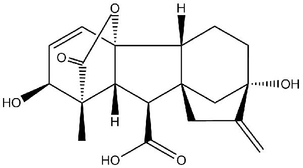 赤霉素GIBBERELLIC ACID，居然有這么神奇？